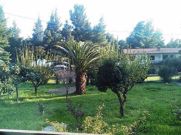 for Rent Private house 2.500 € Sithonia - Nikiti (Property Code: Μ-22868)